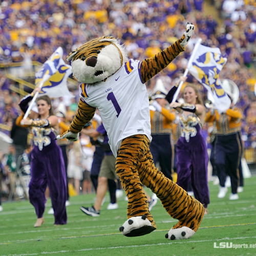 Hey Fighting Tiger By Geauxlsu Hot boudin, cold couscous, come on tigers pushe, pushe, pushe. my uncle was a cheerleader for lsu back in the black and white picture days. hey fighting tiger by geauxlsu