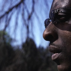 kabuki feat. cleveland watkiss - after the fire