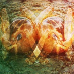 Creaturefeast