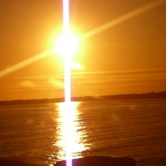 Shine on the common people .