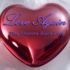 The Crazy Lovers - Love Again ( Tha Grooves Xaico Love 2012 )