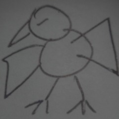 The mighty sparrow