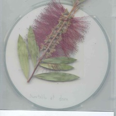 Turntable at Dawn 01