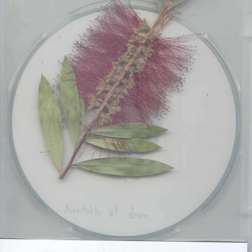 Turntable at Dawn 01