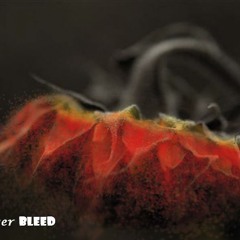 Sunflower bleed - Animals(Pearl jam cover)