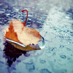 Yathu - Zindagi feat. Shovna