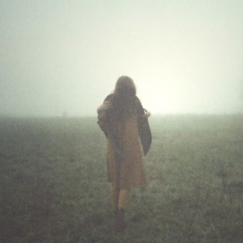 Christoph Berg - A Small Path Crossing