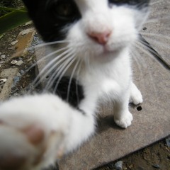 Baby powda mackin (Live instruments ona Snoop Dogg Beat:)