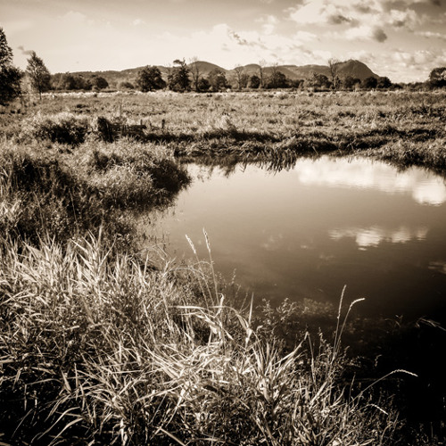 Holly Banks Nature Reserve 6-10-12