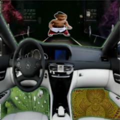 ◊ AUTUMN TOON RACE ◊