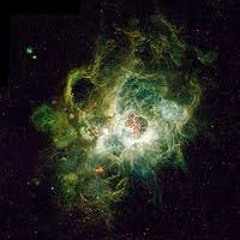 MLMA - No Analog (NO comparison)