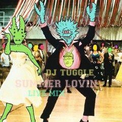 Summer Lovin (Live Mix)