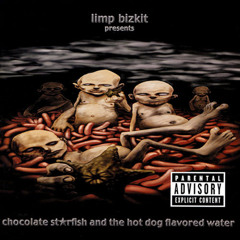 Take a Look Around - Limp Bizkit cover/mixtest 1