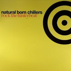 Natural Born Chillers - Rock The Funky Beat (DJ Edin Electro House Remix)