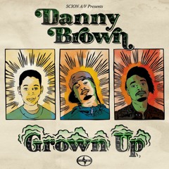Danny Brown - Grown Up (Arm Fall Off Remix)