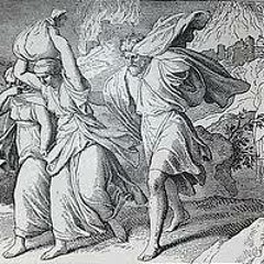 7 _bas - Vuelve a sal