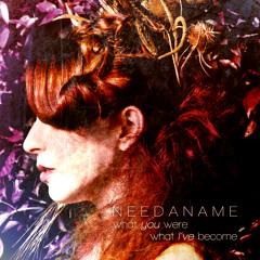 Need a Name - We Look to the Same Sky