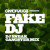 FAKE DJ (DJ Sneak Mix)