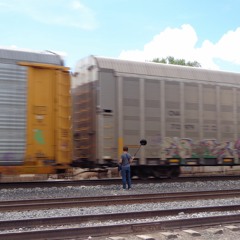 A train is passing by in the Wirikuta Desert (Mexico)