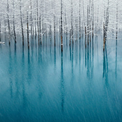 FLASHLIGHT - TIME & TEMP LIVE @ The Merc 11/16/12