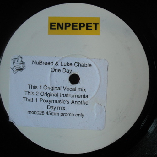 NuBreed & Luke Chable - One Day (Original Vocal Mix)