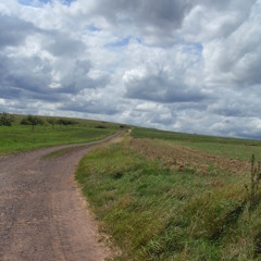 tracks
