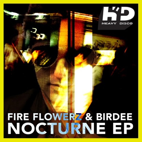 Fire Flowerz and Birdee - In the Night (clip)