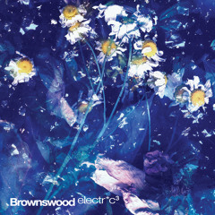 Djrum - Lies (feat. Shadowbox) 160kbs preview - on Brownswood Electr*c 3