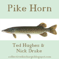 Pike Horn