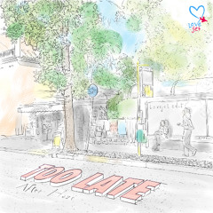 After Haze : Too Late (Tasteful Instrumental Mix)