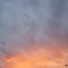 Lovvarion - WhateverWhereverHowever (DubSteppedFonk)