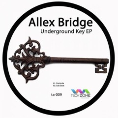 Allex Bridge - Particula (Original Mix)