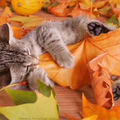 Ein sonniger Herbstnachmittag (Mix 10-2012)