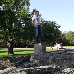 Hollywood Swinger (The Guess Who , Elvis , Rob Bass , BadFinger , The Bee Gees )