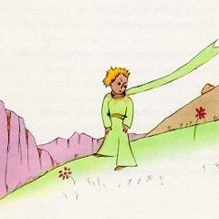 Little Prince: chapter 21