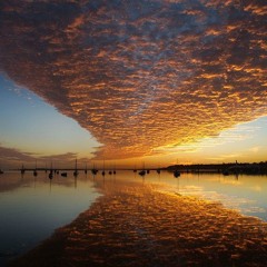 A Voyage Into Protoplasm