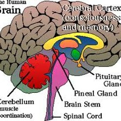Jubb show July 18 2012 6pm est 3506789