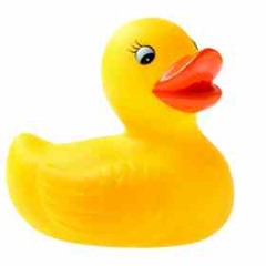 Ducky (Flying south)