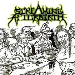 Screaming Afterbirth "Zombie Soup Kitchen"