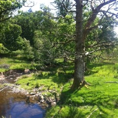 Semana Santa Snippet