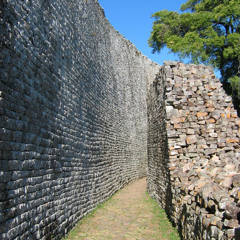 medeeum & mandragora .- zimbawe