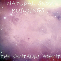 Natural Snow Buildings - Solar Flares