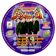 LOS Internacionales AYWAS - Mis shapis 2012