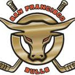 bulls hockey goal number 2