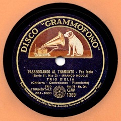 Passeggiando al tramonto - Trio D'Elia