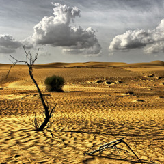 Golden Desert
