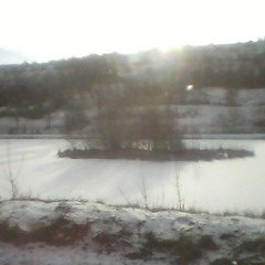 The music wedding Gorek - Planet Kolofon