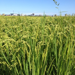 HIP POP INAHOP -3 嵐 Storm (2012 Remix)