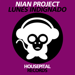 Nian Project - Lunes Indignado (Radio Edit)