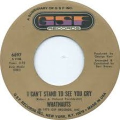 " I Can't Stand To See You Cry" - Whatnauts (vinyl 45)